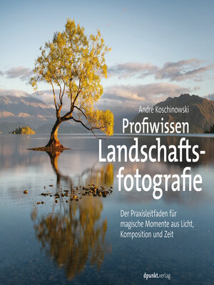 cover image of Profiwissen Landschaftsfotografie